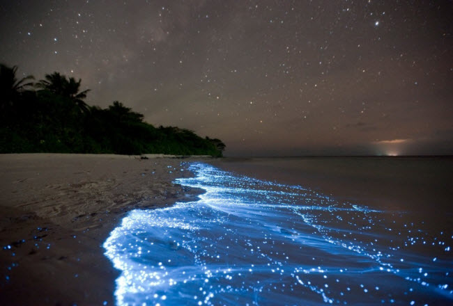 Vaadhoo, Maldives: Bãi biển này trở nên lung linh vào ban đêm khi các sinh vật phù du phát sáng kỳ ảo.