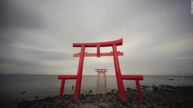 Những chiếc cổng truyền thống Torii trên bờ biển Tara, Nhật Bản.