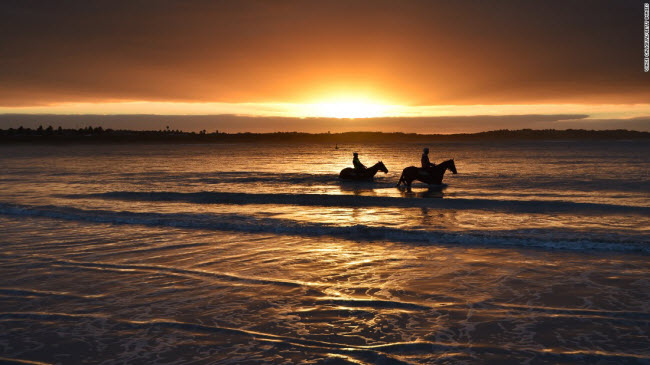 Du khách cưỡi ngựa ngắm cảnh hoàng hôn trên bãi biển Lady Beach ở Australia.