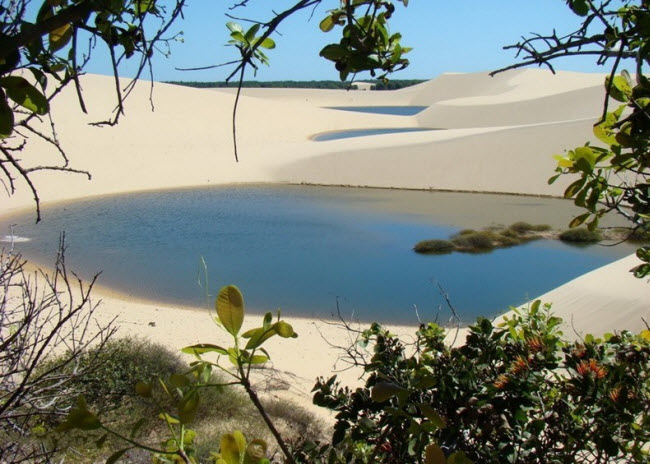 Nguồn gốc của những loài cá tại vườn quốc gia Lençóis Maranhenses được cho là do chim biển mang trứng cá tới đây từ biển.