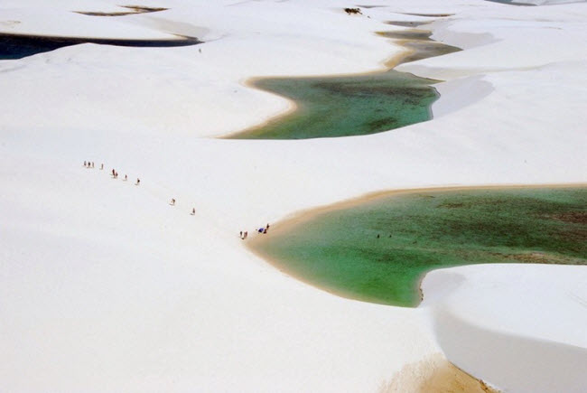 Ngoài các hồ nước hình thành theo mùa, vườn quốc gia Lençóis Maranhenses còn có khu rừng đước và sông Preguiças giúp duy trì sự đa dạng sinh học cho khu vực này.