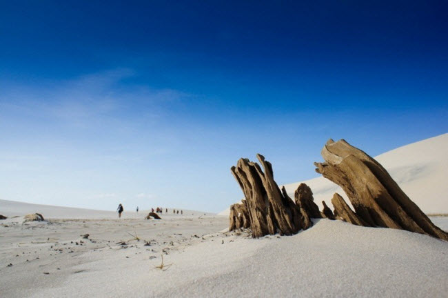 Lençóis Maranhenses thu hút đông du khách từ khắp nơi trên thế giới.