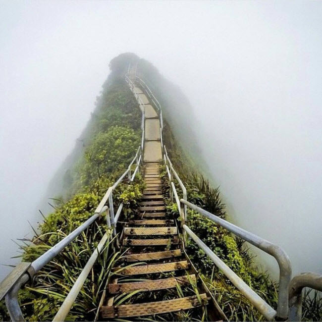 “Cầu thang lên thiêng đường” ở Oahu, Hawaii.