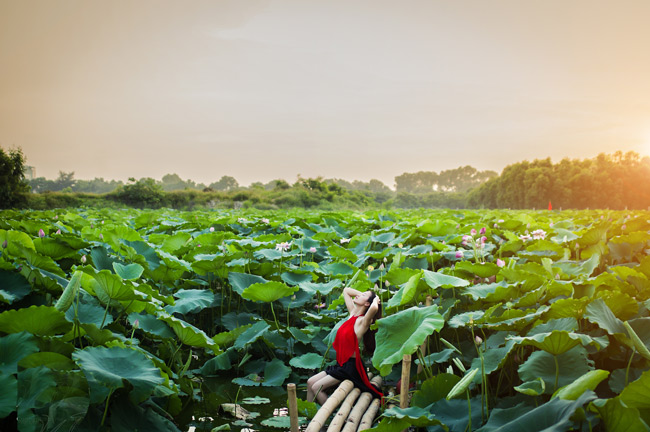 Hình ảnh thiếu nữ xuân sắc là nét chấm phá nổi bật giữa&nbsp;hồ sen mênh mông &#40;ảnh: Cương Pluto&#41;.&nbsp;