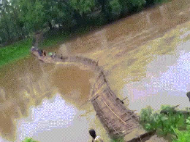 Ấn Độ: Lũ cuốn đứt đôi cầu khi học sinh đang vượt sông