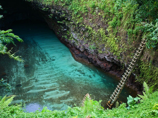 Rãnh To Sua Ocean, Samoa: Nằm giữa cánh đồng dung nham của núi lửa cổ đại, đây là một trong những bể bơi tự nhiên đẹp nhất thế giới. Mặc dù vậy, địa điểm này không dành cho những người sợ độ cao, vì cách duy nhất để xuống bể bơi là bằng chiếc thang dựng đứng hay nhảy từ trên xuống.