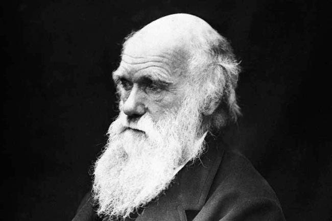 3. Charles Darwin là một nhà nghiên cứu nổi tiếng trong lĩnh vực tự nhiên học người Anh. Ông là người đã phát hiện và chứng minh rằng mọi loài đều tiến hóa theo thời gian từ những tổ tiên chung qua quá trình chọn lọc tự nhiên.