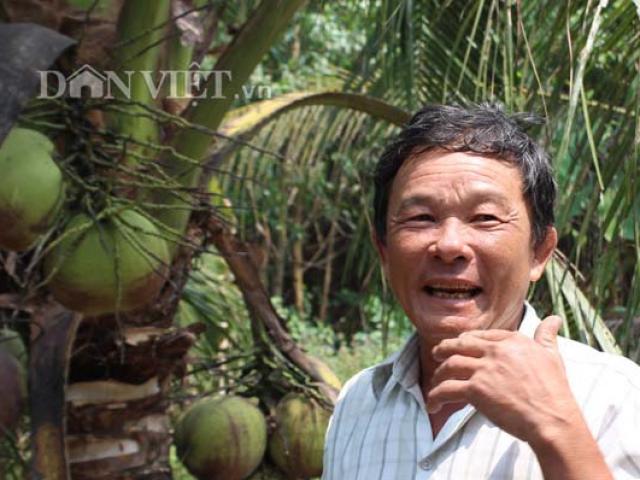 Trên liếp trồng dừa, nuôi heo rừng, dưới mương thả cá, lời 300 triệu/năm