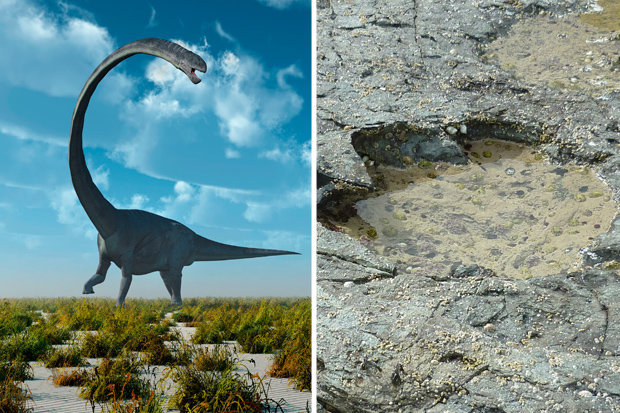 Scotland: Dấu vết khủng long quái vật tồn tại cách 170 triệu năm - 1