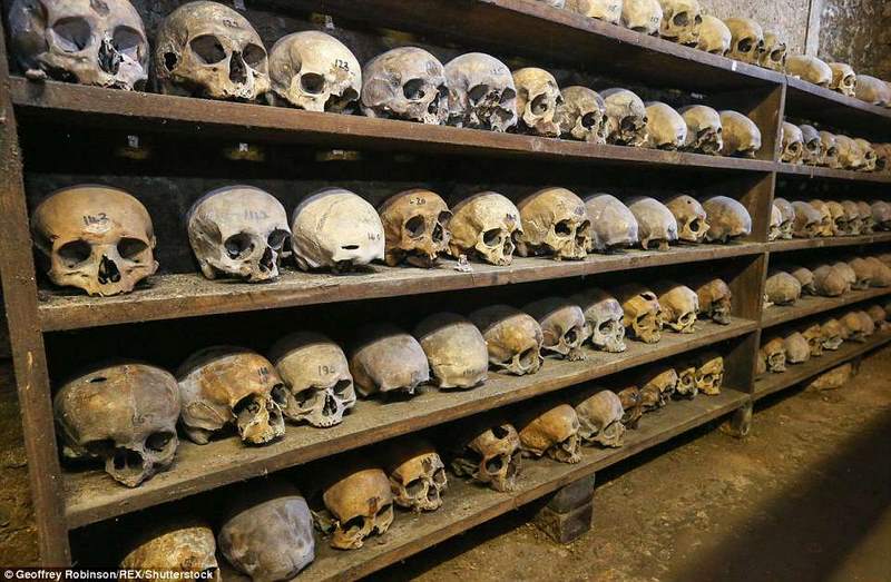 Anh: Hầm mộ chứa 2.500 đầu lâu từ thế kỷ 13 - 1