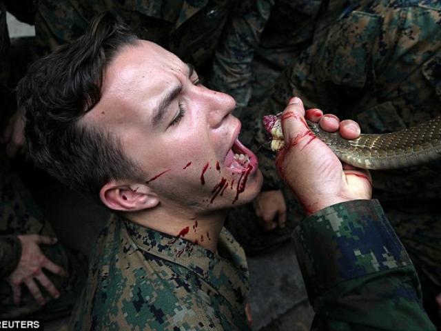 Kinh hoàng cảnh tượng uống tiết rắn hổ mang, ăn thằn lằn sống trong bài tập quân sự