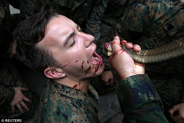 Kinh hoàng cảnh tượng uống tiết rắn hổ mang, ăn thằn lằn sống trong bài tập quân sự - 1