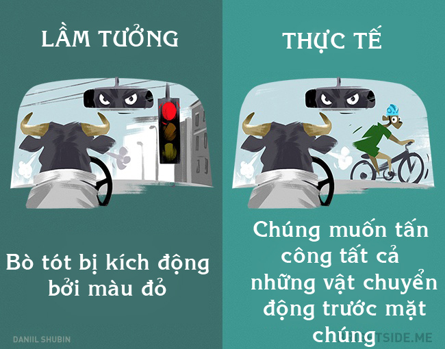 12 lầm tưởng khôi hài về động vật cha mẹ vẫn luôn dạy con - 10