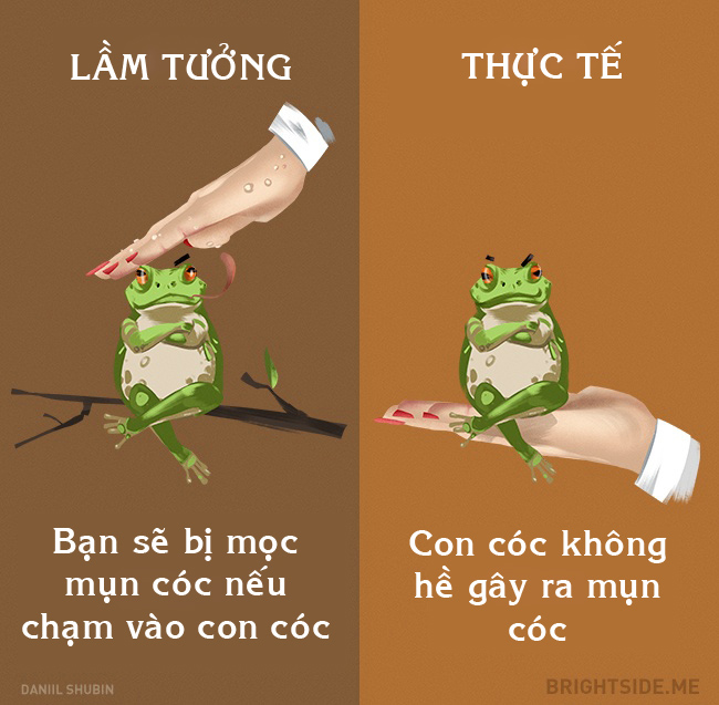 12 lầm tưởng khôi hài về động vật cha mẹ vẫn luôn dạy con - 9