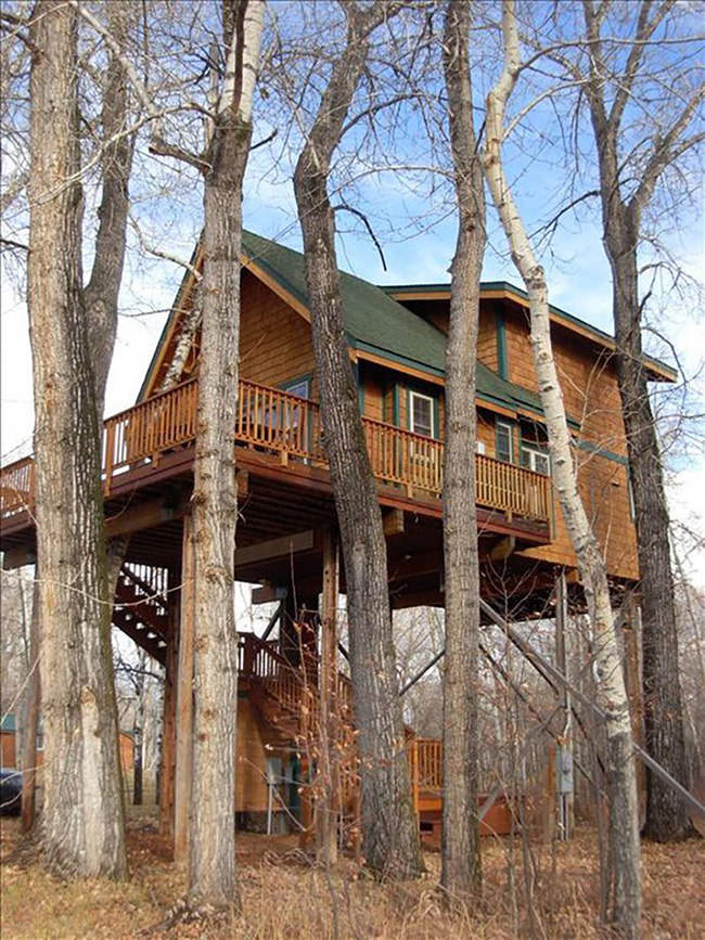 Birdsnest Treehouse. Địa điểm: Four Corners, Montana. Chi phí mỗi đêm: 380 USD. Nằm giữa rừng cây bụi và cây dương, ngôi nhà cây này nhìn ra một dòng suối sẽ đưa bạn vào một giấc ngủ yên bình.