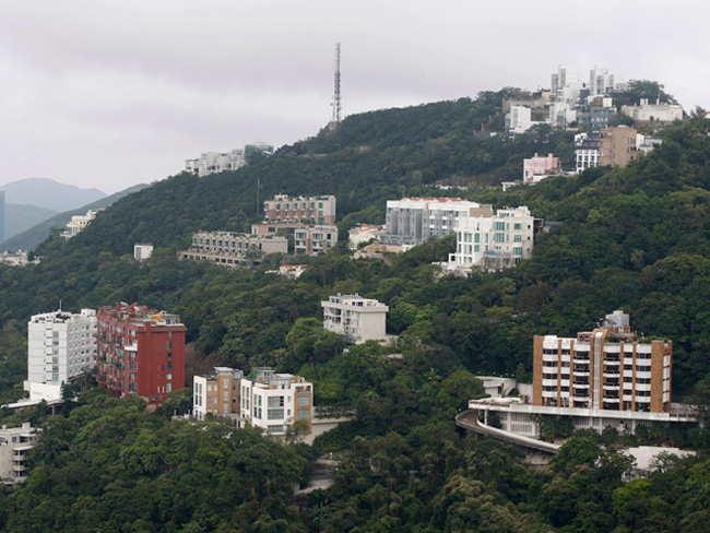 Ở một nơi chật hẹp như Hong Kong, khu phố này giống như một thế giới tách biệt với những con đường quanh co, thảm thực vật nhiệt đới dày đặc và quang cảnh tuyệt đẹp. Ảnh: Reuters.