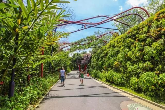 Sạch đẹp thôi chưa đủ, Singapore còn chi hàng nghìn tỷ đồng xây dựng vườn nguyên sinh khổng lồ tuyệt đẹp - 1