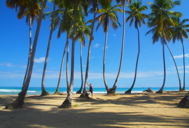 Lạc lối trước những bãi biển đẹp như thiên đường ở vùng Caribe - 8