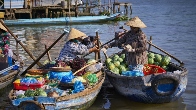 Cần Thơ: Một trong những thành phố có phong cảnh đẹp nhất ở vùng Đồng bằng sông Cửu Long, Cần Thơ nổi tiếng với cánh đồng lúa thẳng cánh cò bay, rừng đước, chợ nổi và ẩm thực truyền thống.