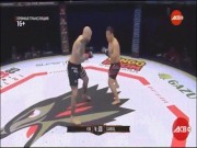 Thể thao - Cực đỉnh MMA: &quot;Gấu Panda&quot; Hàn Quốc hạ gục võ sỹ xăm trổ &quot;hổ báo&quot; châu Âu