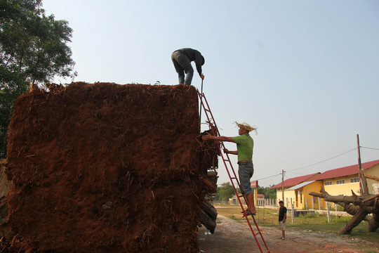 Nộp phạt 750.000 đồng, chủ hàng được nhận lại cây &#34;quái thú&#34; cuối cùng - 2