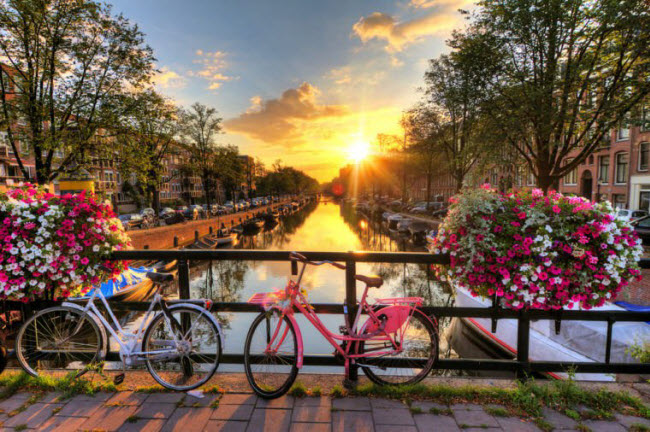 Đạp xe khám phá thành phố Amsterdam: Trải nghiệm được nhiều du khách lựa chọn nhất khi tới thành phố Amsterdam là đạp xe dọc những đường phố hẹp có từ thế kỷ thứ 17. Đối với những người đam mê lịch sử, nhà Anne Frank và bảo tàng Van Gogh là 2 địa điểm không thể bỏ qua.