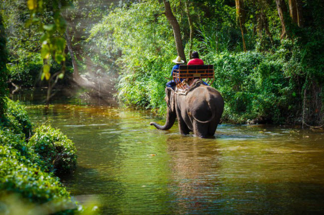 Nấu món ăn Thái và làm bạn với voi ở Chiang Mai: Thành phố miền bắc Thái Lan có vô số các trường dạy nấu ăn. Những người hướng dẫn sẽ đưa học viên tới các khu chợ để mua nguyên liệu trước khi dạy chế biến các món ăn truyền thống từ xôi xoài cho tới sữa dừa. Tại thành phố này, bạn cũng có cơ hội tắm và cho voi ăn tại khu bảo tồn voi.
