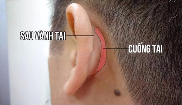 5 phút để tự cứu mạng khi bị tăng huyết áp đột ngột - 1