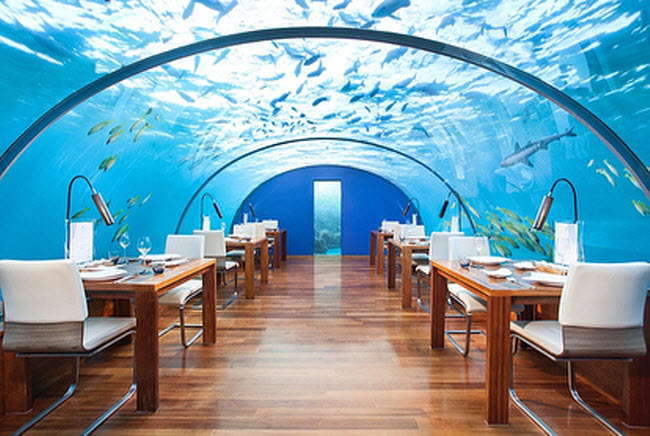 Ithaa, Maldives: Du khách muốn thưởng thức một bữa ăn đặc biệt cùng với cá mập và rùa, hãy tới nhà hàng Ithaa ở Maldives.
