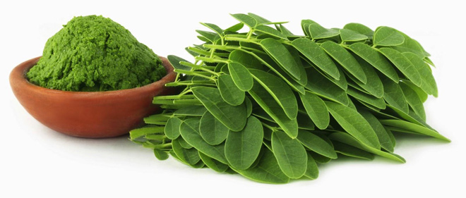 Cốm chùm ngây Moringa: Giải pháp tăng tiết sữa hoàn toàn từ tự nhiên - 1