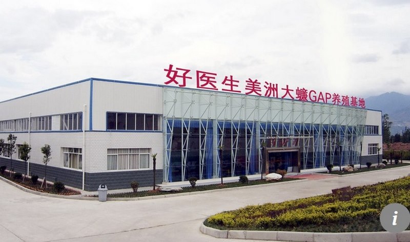 Trang trại Trung Quốc xuất xưởng 6 tỉ con gián mỗi năm - 1