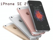 Dế sắp ra lò - CHÍNH THỨC: iPhone SE 2 đã đạt chứng nhận, sẵn sàng ra mắt