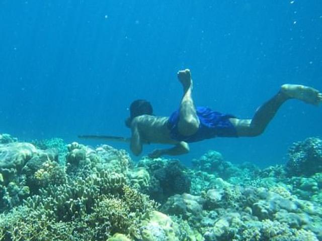 Tộc người Indonesia tiến hoá ”như cá”, lặn 13 phút không cần thở