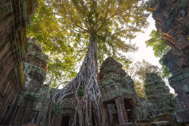 Siem Reap, Campuchia: Tỉnh Siem Reap thu hút hàng triệu du khách mỗi năm tới thăm quan khi đền cổ Angkor Wat.
