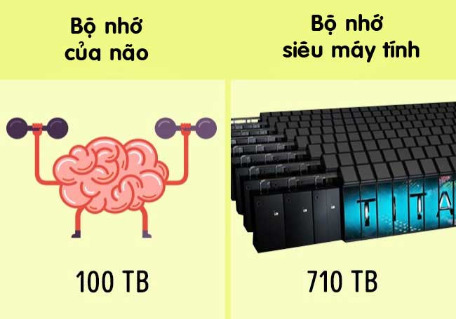 9 điều kỳ diệu về cơ thể con người khiến bạn không thể tin nổi - 3