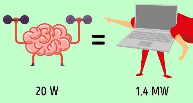 9 điều kỳ diệu về cơ thể con người khiến bạn không thể tin nổi - 8