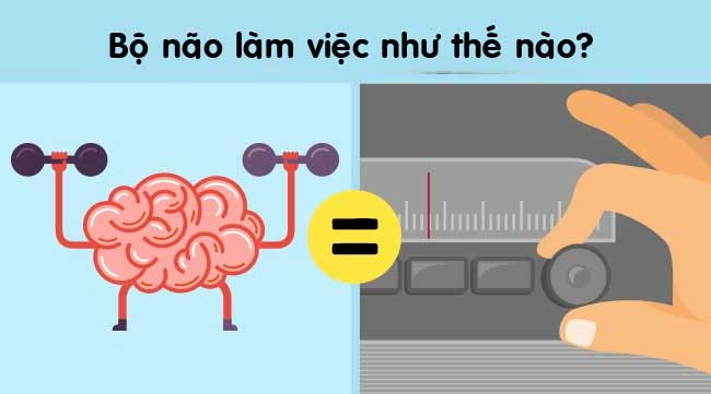 9 điều kỳ diệu về cơ thể con người khiến bạn không thể tin nổi - 7