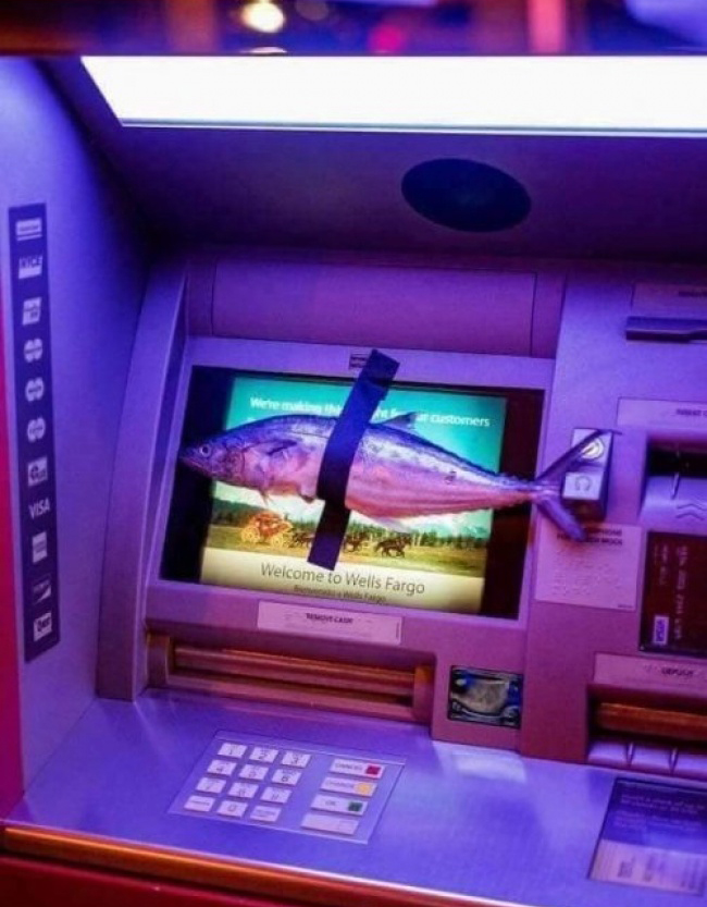 Cá nào mà lại "bơi" lên cả cây ATM thế này.