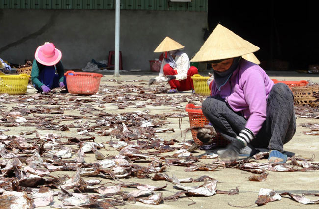 Chuyến đi tiền tỷ: Đi biển 50 ngày bắt 27 tấn mực, thu về hơn 5 tỷ - 4