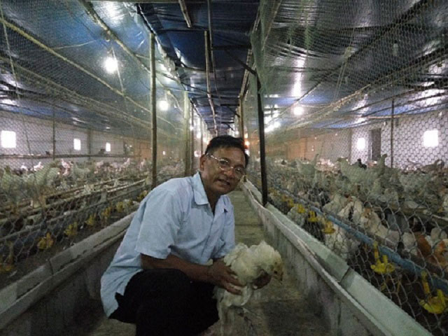 &#34;Vua&#34; gà đất Nam Định sở hữu 20.000 con gà, lãi 50 triệu đồng/tháng - 1
