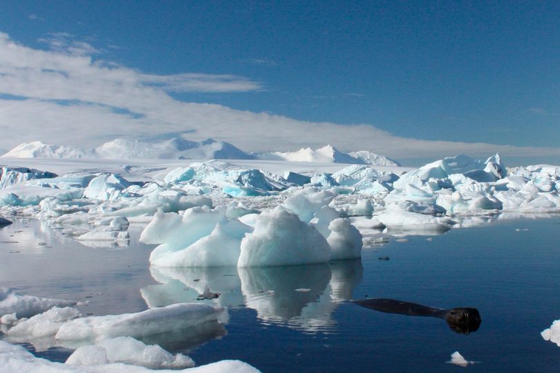 Kéo tảng băng khổng lồ từ Nam Cực để 4 triệu người có nước uống - 1