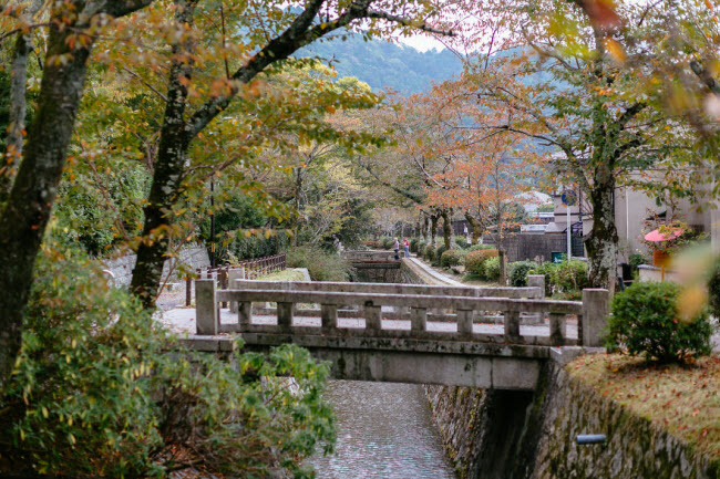 Lối đi bằng đá dọc bờ kênh Tetsugaku no michi ở Kyoto.