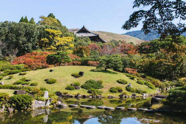 Khu vườn Isuien ở Nara.