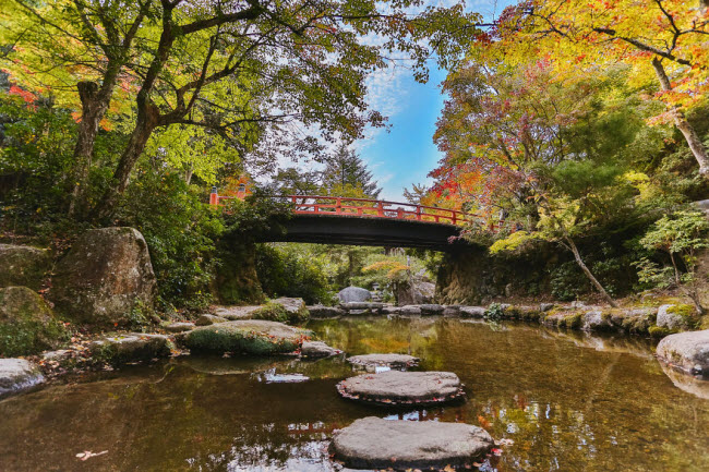 Công viên Momijidani vào mùa thu ở Miyajima.