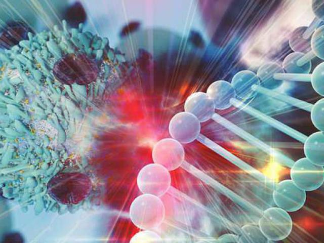 ”Siêu tế bào” đánh bại ung thư, nhiễm trùng và sự lão hóa