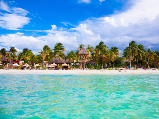 Playa Norte, Mexico: Nhiều bãi biển ở Mexico trở nên quá đông đúc, nhưng du khách có thể tìm thấy không gian yên tĩnh tại bãi biển Playa Norte. Tại đây, những người yêu động vật có thể bơi cùng cá mập voi hay cá heo.