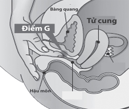 Điểm G - sự thật hay huyền thoại? - 1