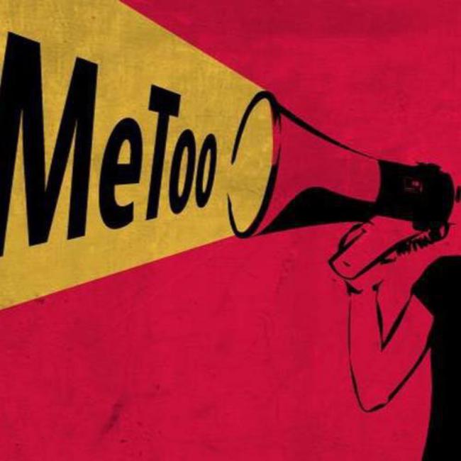 Phạm Lịch gay gắt đáp trả anti-fan khi bị yêu cầu dừng phát động phong trào #metoo - 1