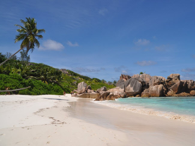 Anse Coco, Seychelles: Bãi biển này không dễ tiếp cận, nhưng đổi lại nó có phong cảnh tuyệt đẹp như các khối đá khổng lồ, rừng cọ xanh tốt và nước biển trong xanh.