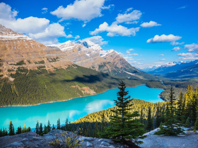 Hồ Peyto, Canada: Hồ nước này gây ấn tượng với màu xanh tự nhiên đầy bí ẩn. Màu sắc lạ thường được tạo ra bởi các hạt đá nhỏ li ti có nguồn gốc từ dòng sông băng.